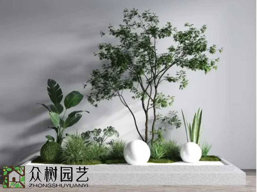 蘇州綠植租賃怎么選？一文帶你避坑