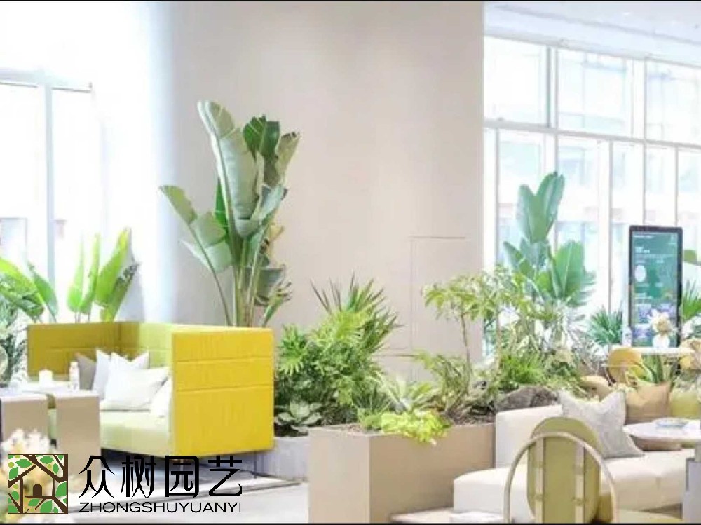 綠動(dòng)蘇州，專(zhuān)業(yè)綠植租賃養(yǎng)護(hù)新風(fēng)尚