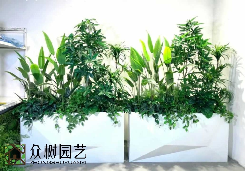 震撼發(fā)現(xiàn)！蘇州綠植租賃：為城市空間注入綠色活力