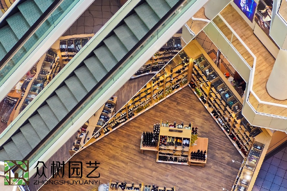 蘇州商場綠植租擺廠商：綠色美學(xué)的革命者，商場美學(xué)改變者
