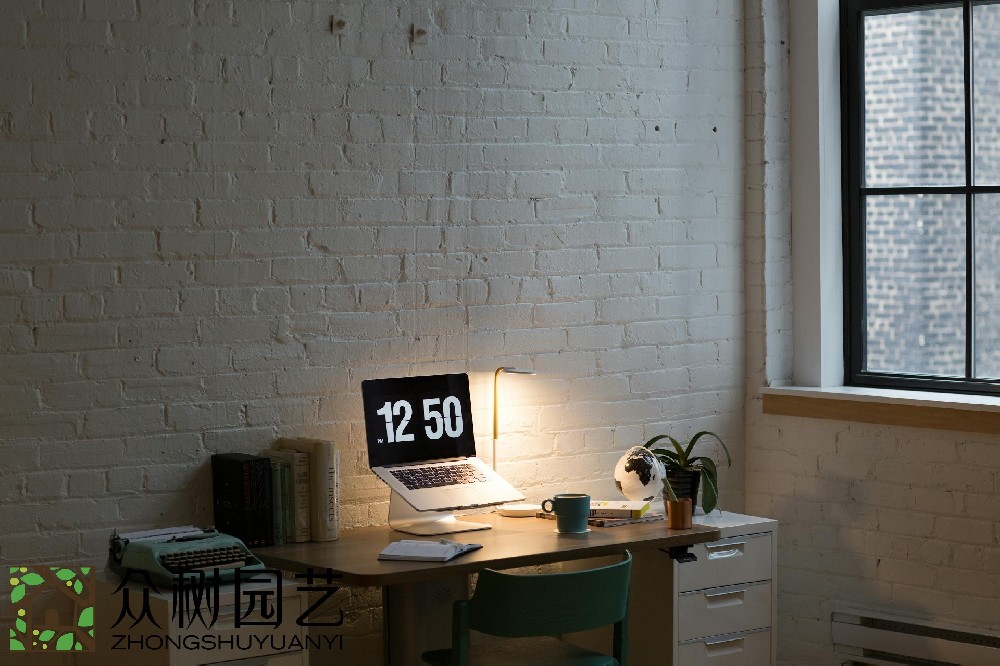 蘇州室內(nèi)綠植租擺費(fèi)用揭秘：預(yù)算、選擇和維護(hù)，一次性了解!